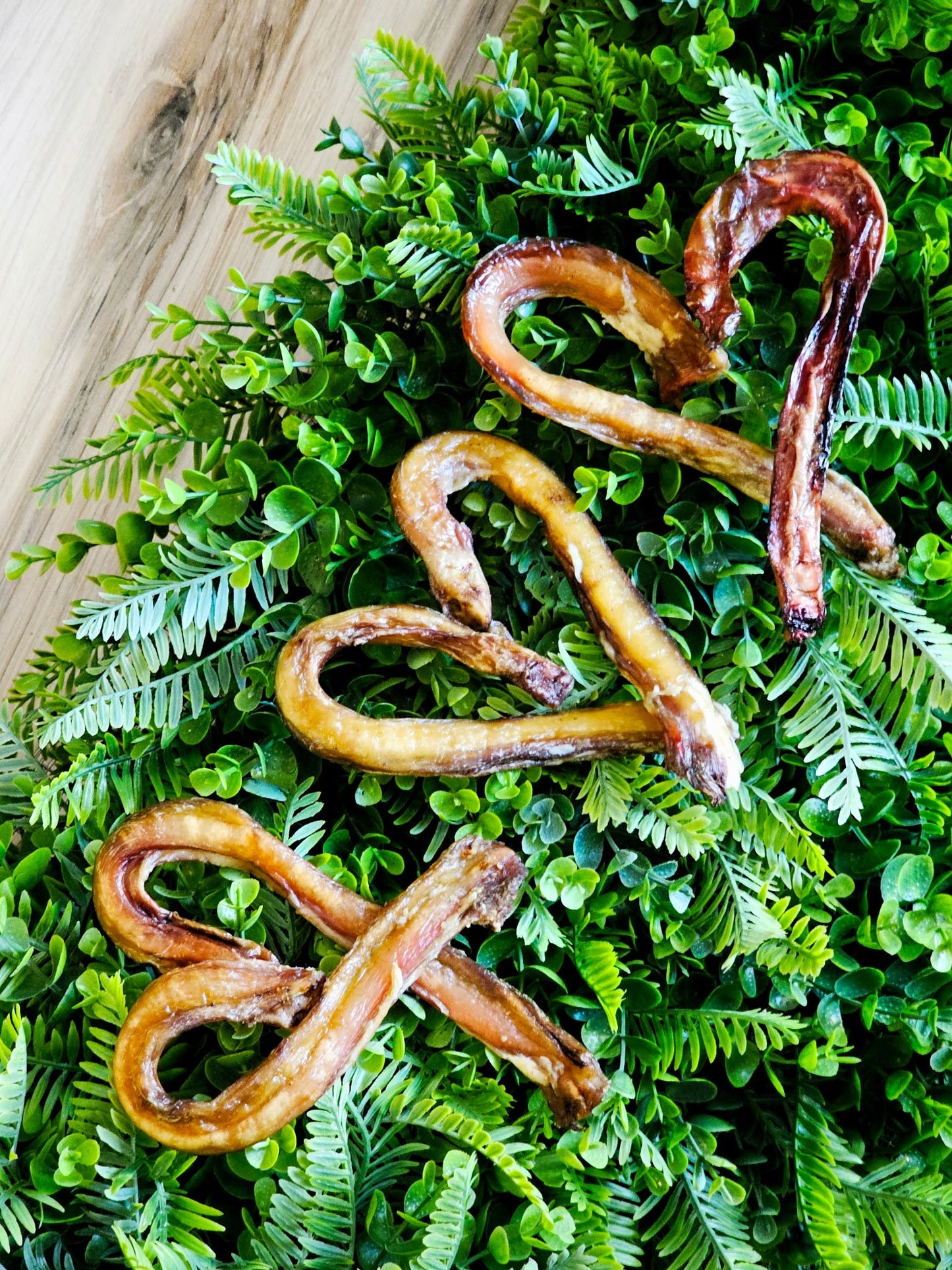 Beef Pizzle (Sticks, Loops, Short) - Limited Edition | Purrfect