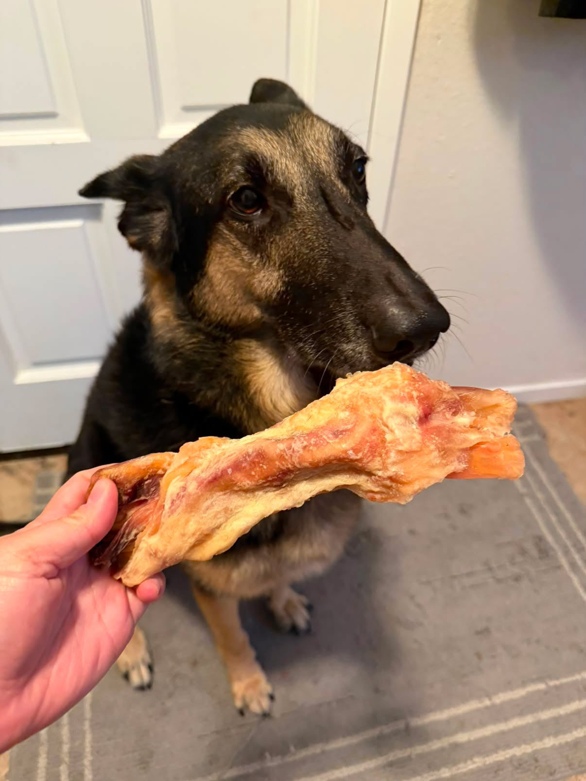Purrfect Kingdom™ - Single Ingredient Beef Tendon Reward Chew