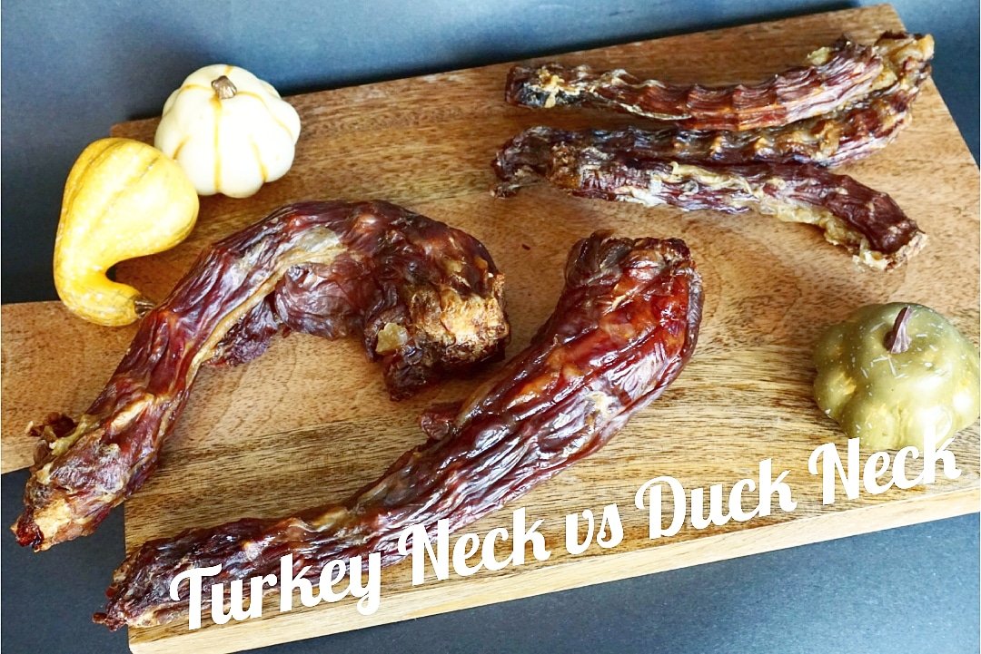 Dog Treats Turkey Neck Single Ingredient Chews Natural Rewar - gallery image 9