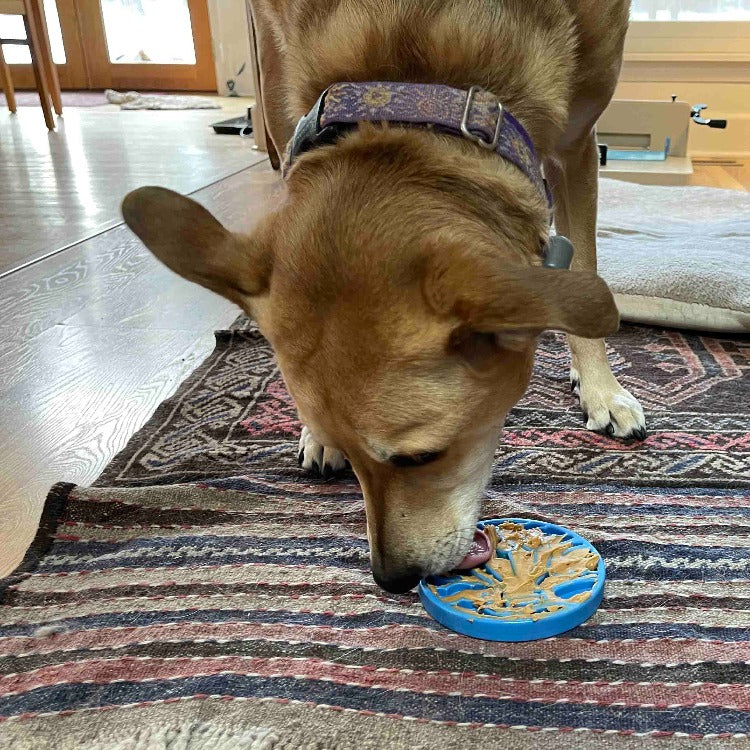 Dog Toy eCoin Lick Mat Air Nylon Boredom Buster