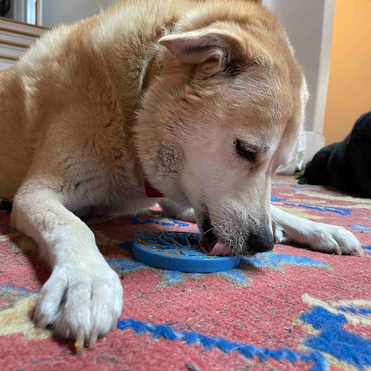 Dog Toy eCoin Lick Mat Air Nylon Boredom Buster