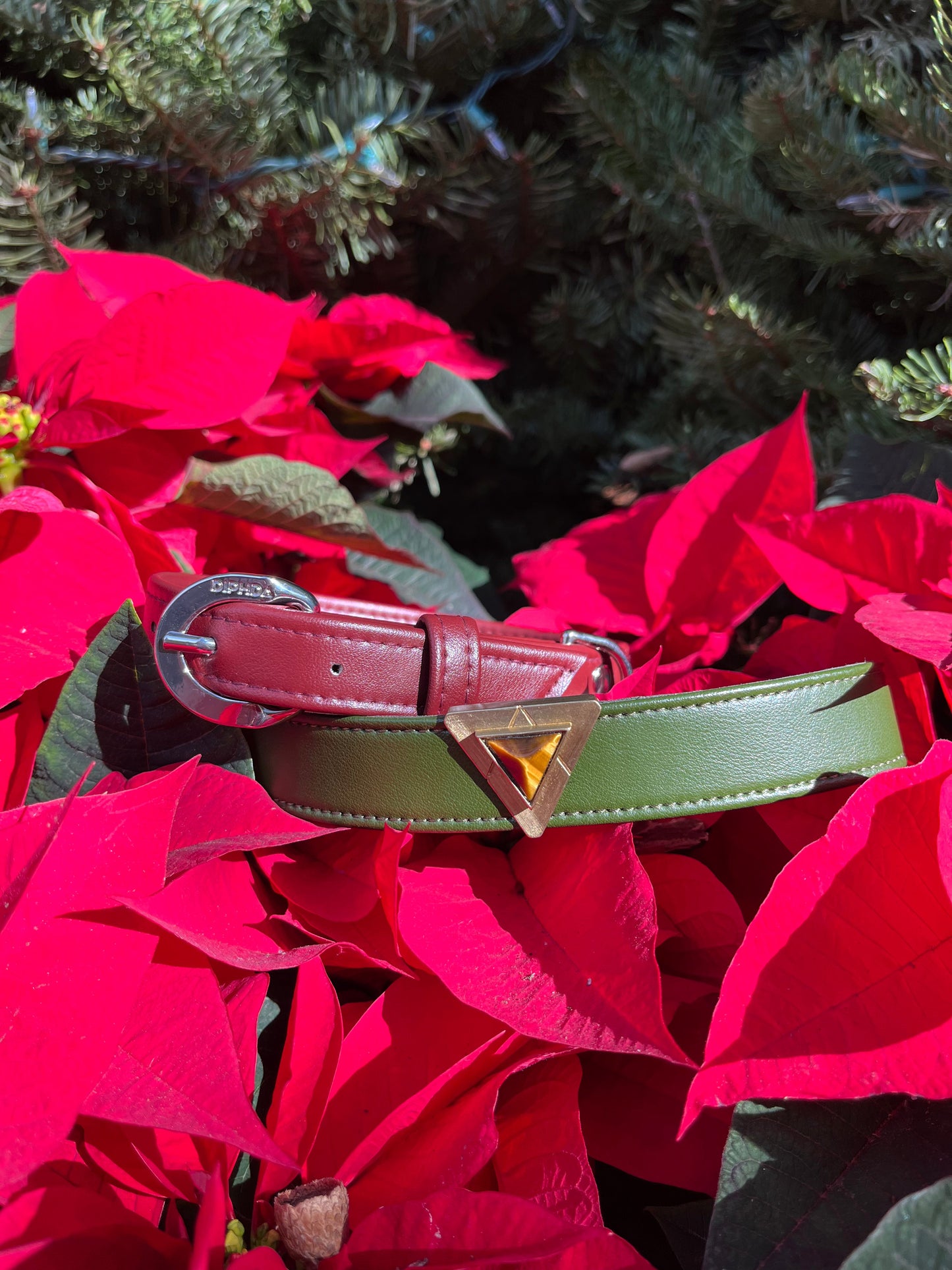 Bordeaux Red Cactus Collar - Purrfect Pet Kingdom