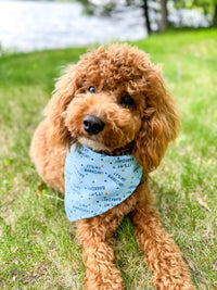 Dog Bandana Birthday Barkday Blue Party Pet Scarf