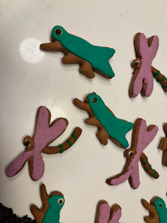 DRAGONFLY & GRASSHOPPER COOKIES