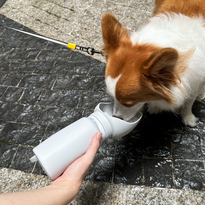 Milou & Lumi Portable Collapsible Pet Water Bottle