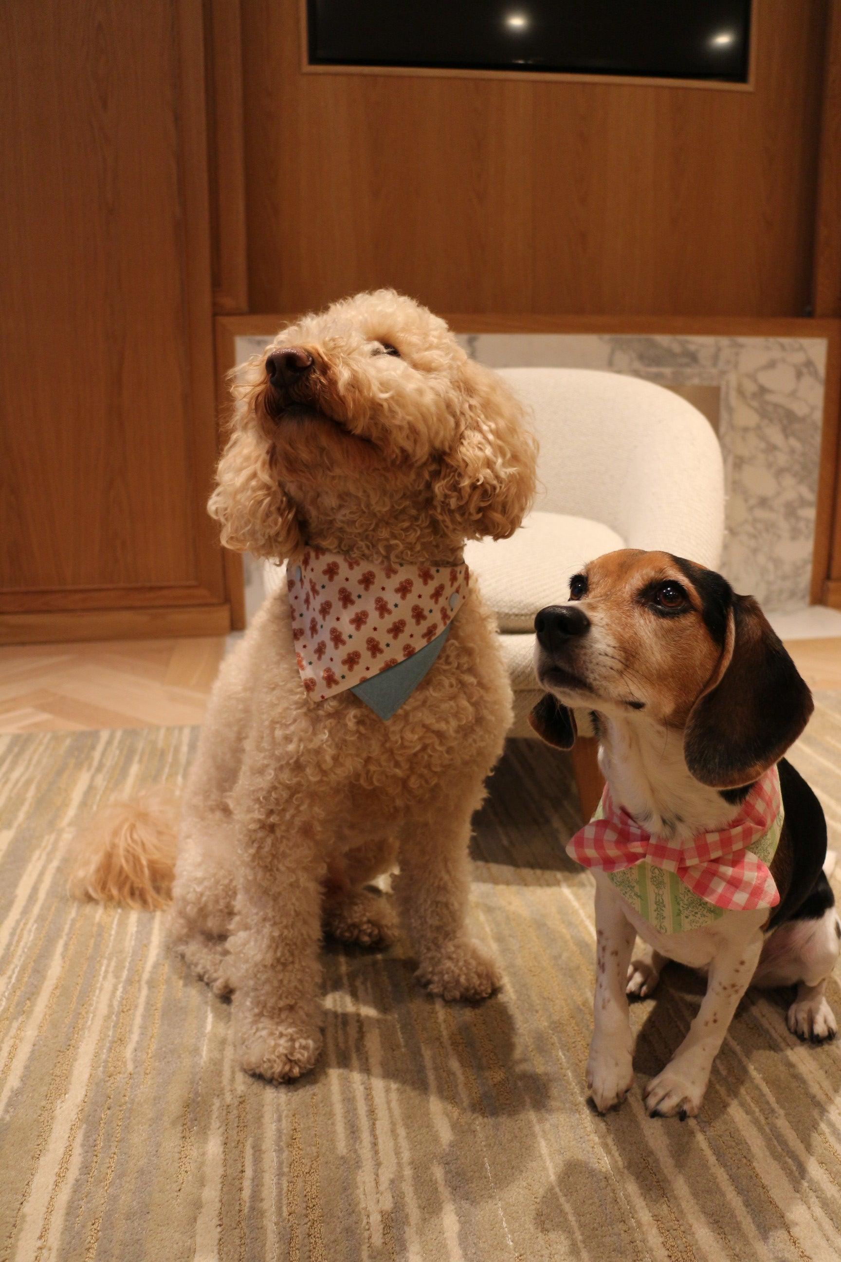 Gingerbread Man Joy Handmade Bandana - BarkBarkBaby