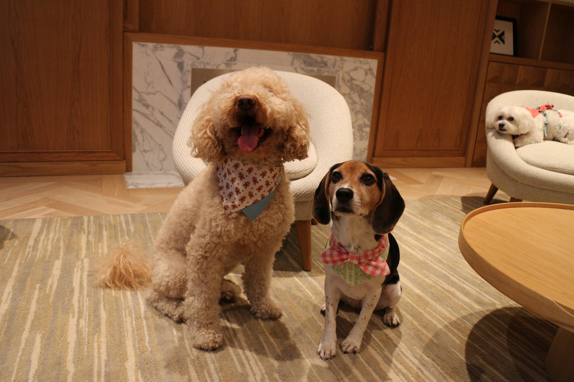 Gingerbread Man Joy Handmade Bandana - BarkBarkBaby