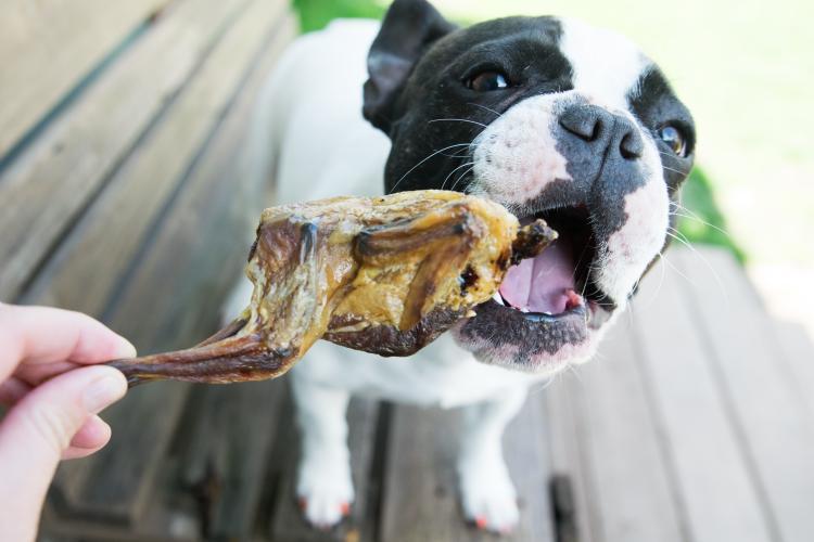 Whole Quails (Bone-In) | Purrfect Pet Kingdom