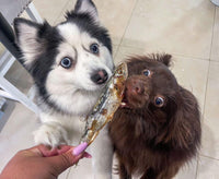 Dehydrated Wild-Caught Sardines for Cats & Dogs — 100%