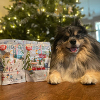 Holiday Chips Dog Treats - Beef & Fish 4oz