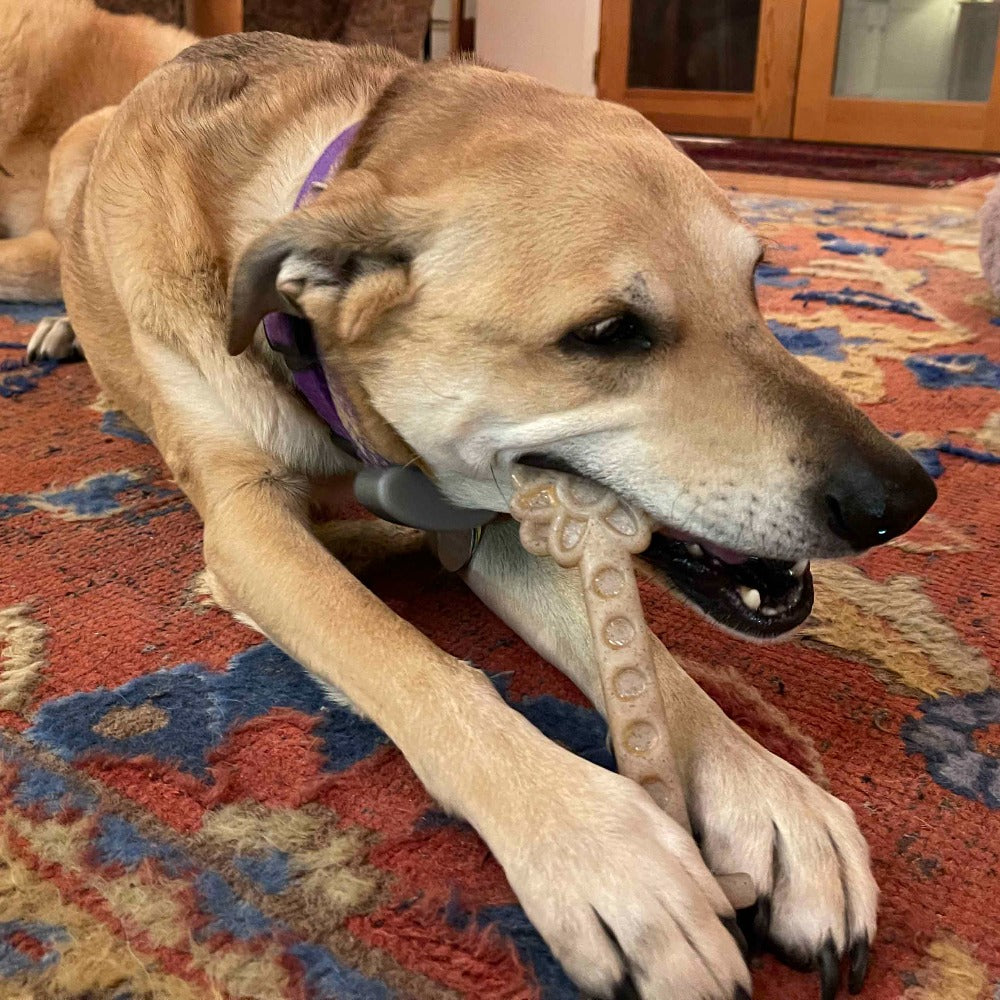 Flower Tower Nylon Chew Toy for Aggressive Chewers - USA Made