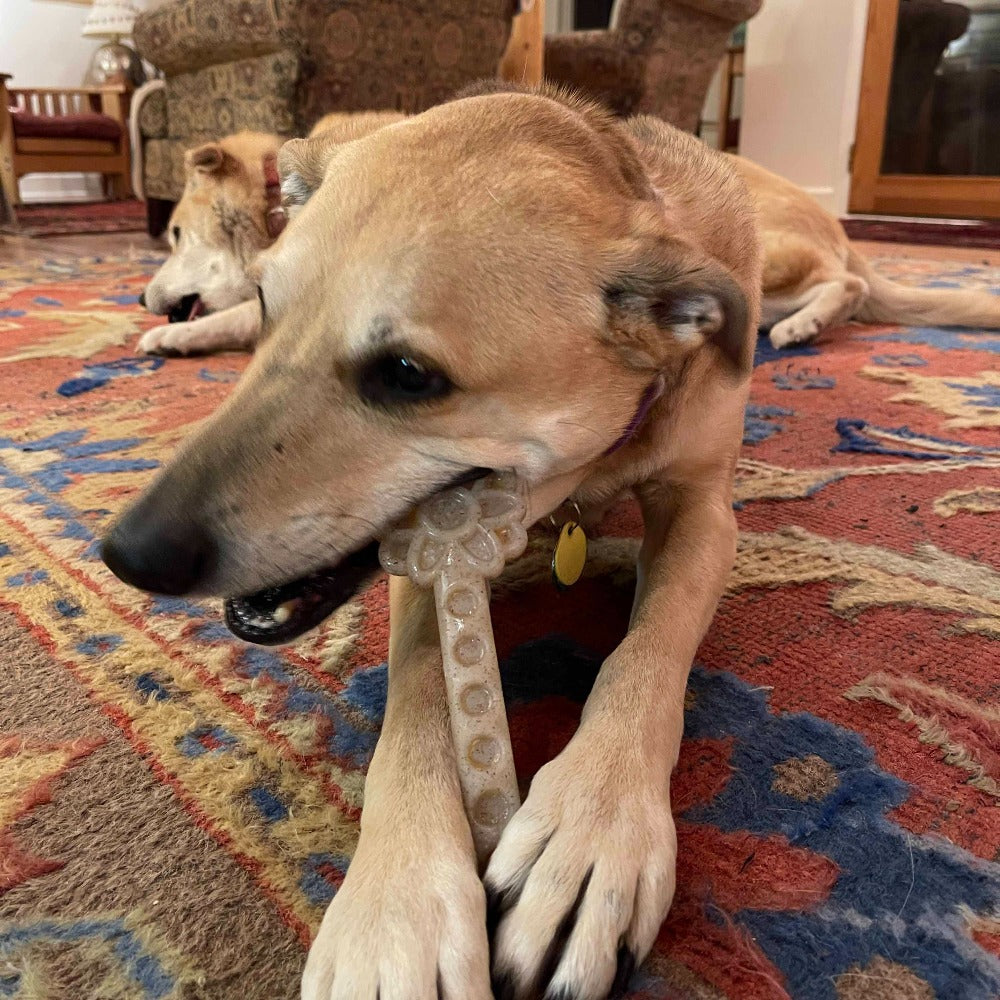 Flower Tower Nylon Chew Toy for Aggressive Chewers - USA Made