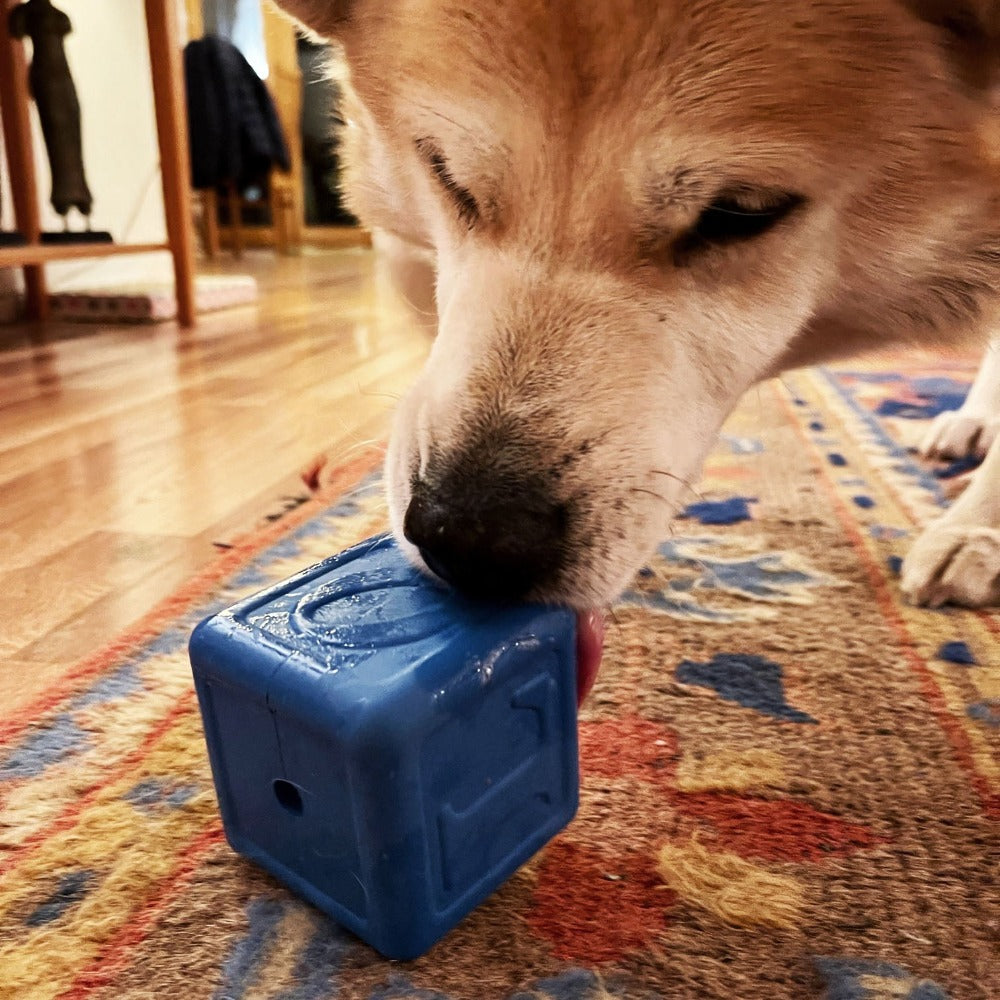 Love Cube eDispenser - Durable Rubber Chew Toy & Treat Dispenser