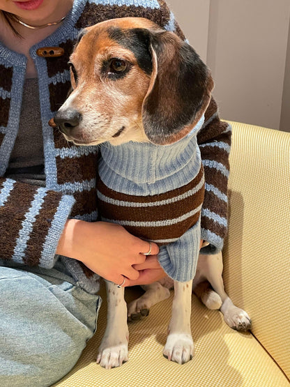 Dog Sweater Bluebell Stripes Two-Tone Turtleneck 🧶