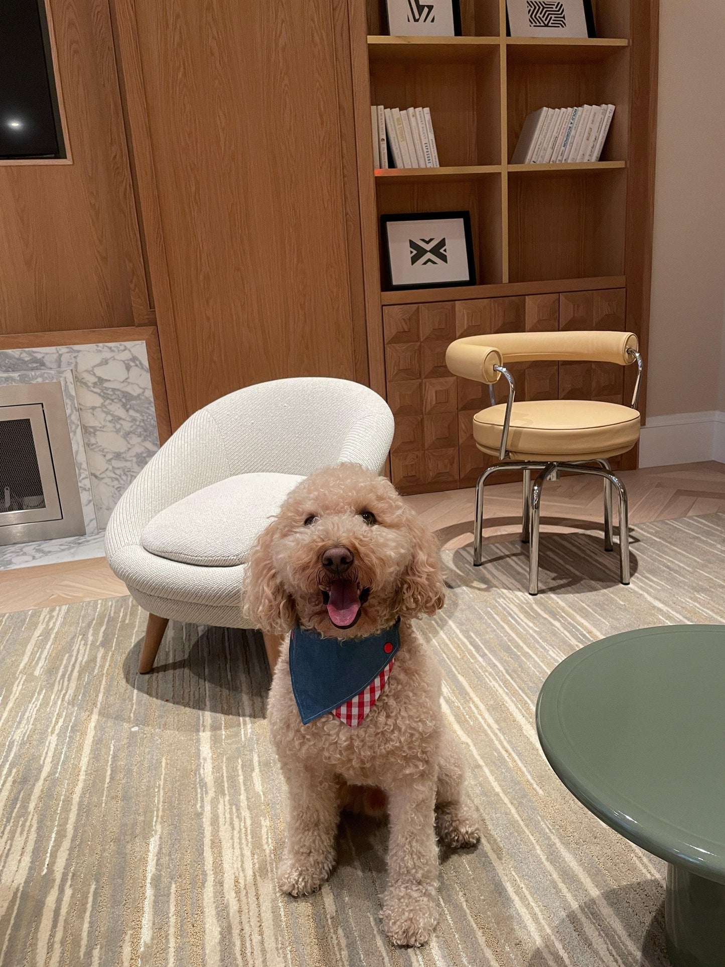 Park Day Denim Gingham Print Handmade Bandana - Dog Bandana - BarkBarkBaby