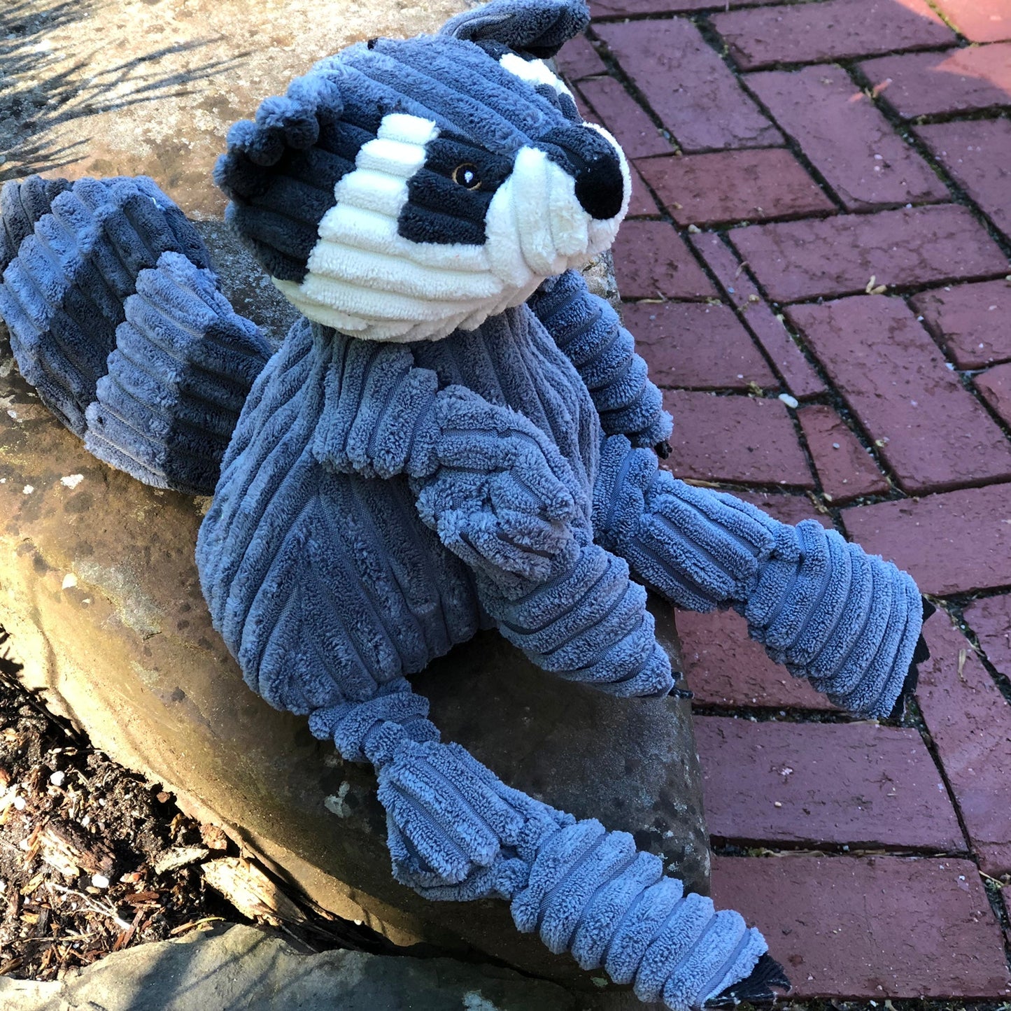 Dog Toy Reggie Raccoon Knottie Plush Toy for Daily Use Essen - gallery product image for dog toy