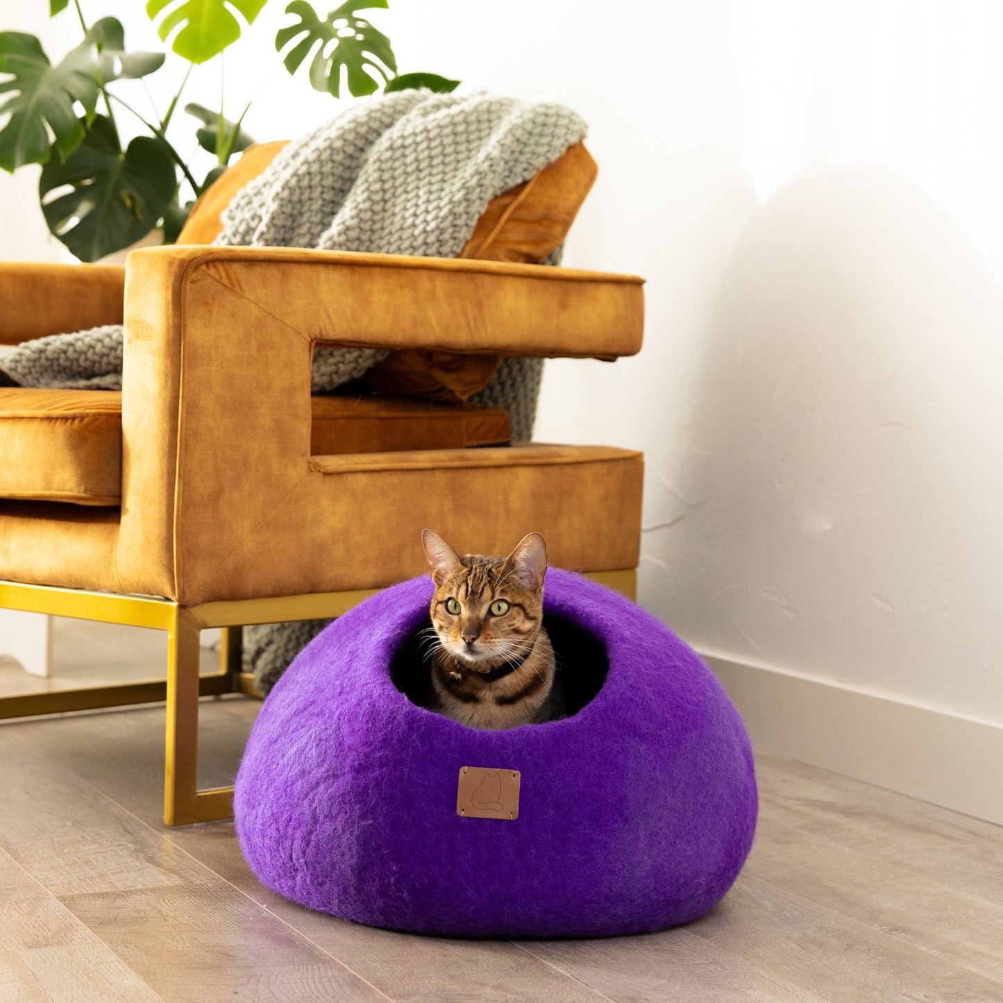 Plum Purple | Round Style Cave by Fuzzy Cove - The Family Pet - Regular - BDDF_SKUDlaruhUDrBxmH69z