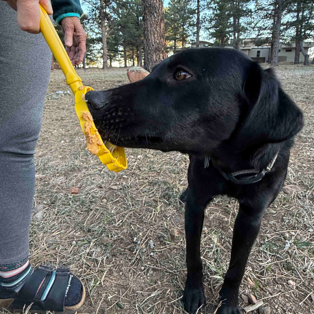 eStick Hand-Held Dog Enrichment Toy - Interactive Lick Stick |