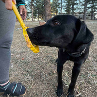 Lick Stick Hand-Held Dog Enrichment Toy - Interactive Lick Stick | USA Made