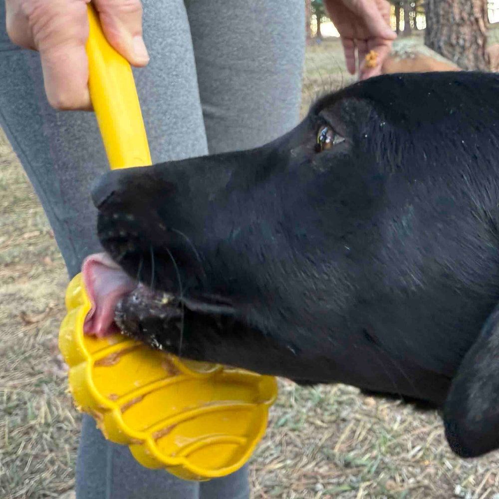 eStick Hand-Held Dog Enrichment Toy - Interactive Lick Stick |