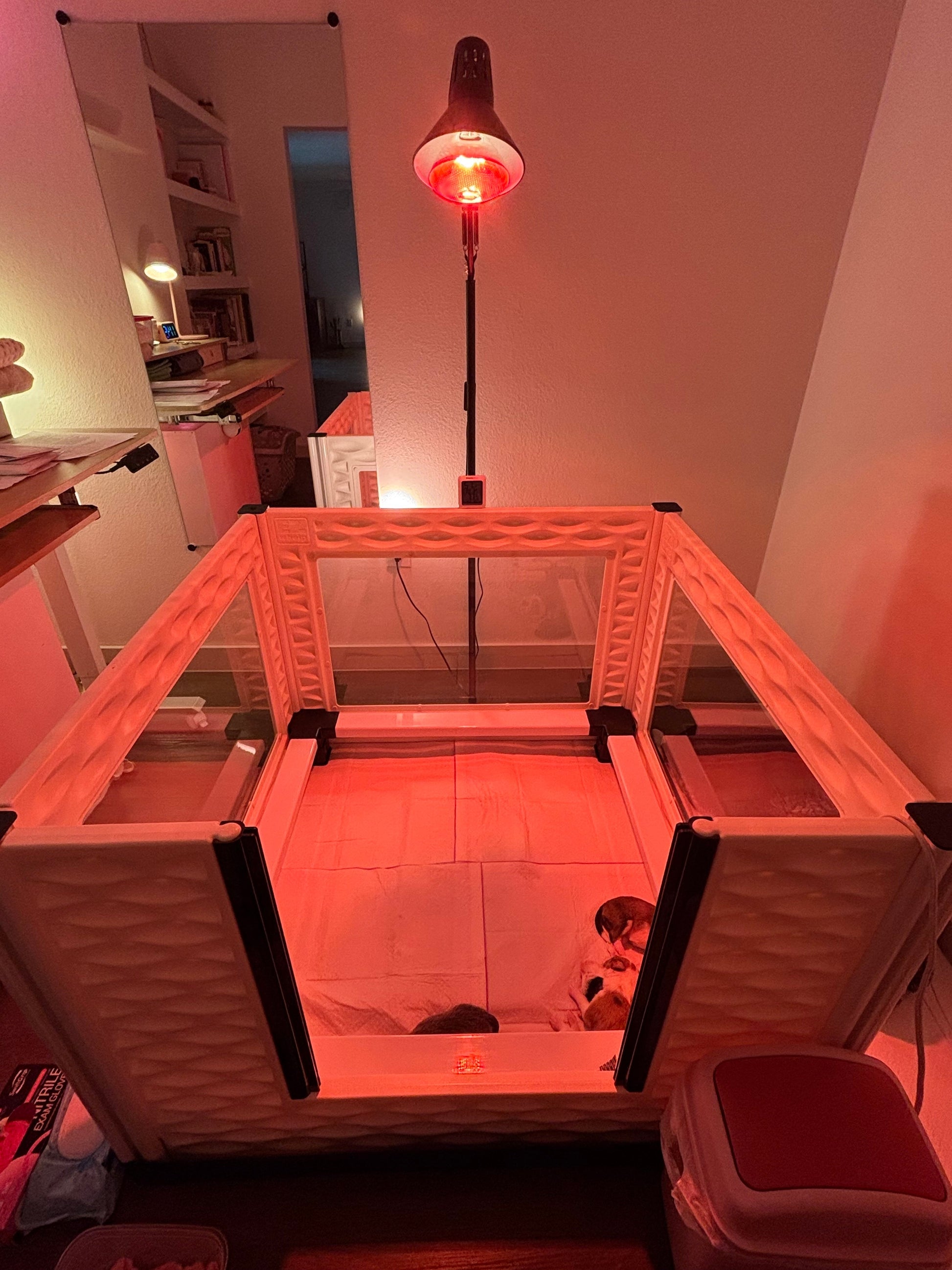 EZclassic TALL Windowed Whelping Box Set w/Rail Assembly - EZwhelp