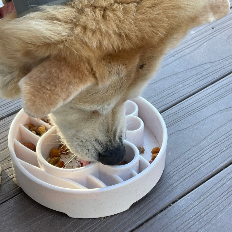 Java eBowl Deep Slow Feeder Dog Bowl for Enrichment | USA