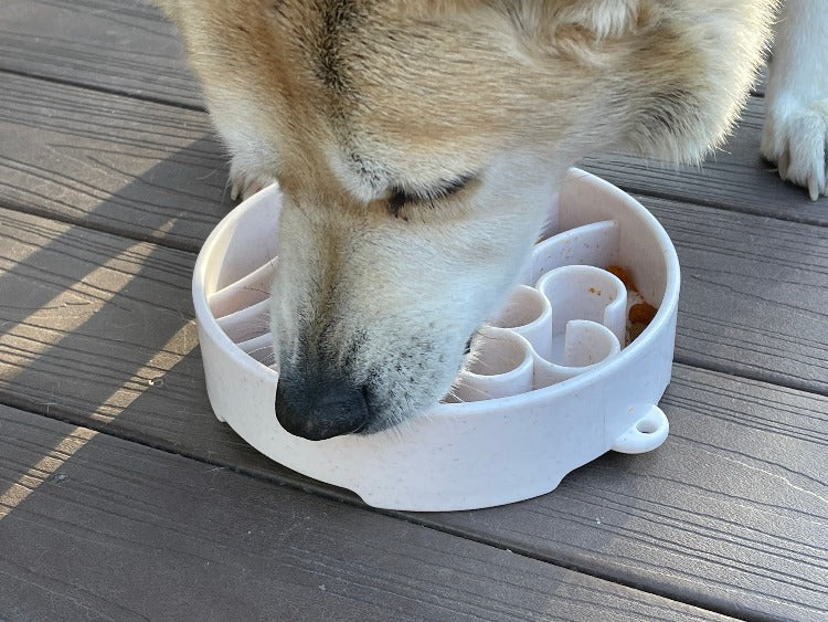 Java eBowl Deep Slow Feeder Dog Bowl for Enrichment | USA