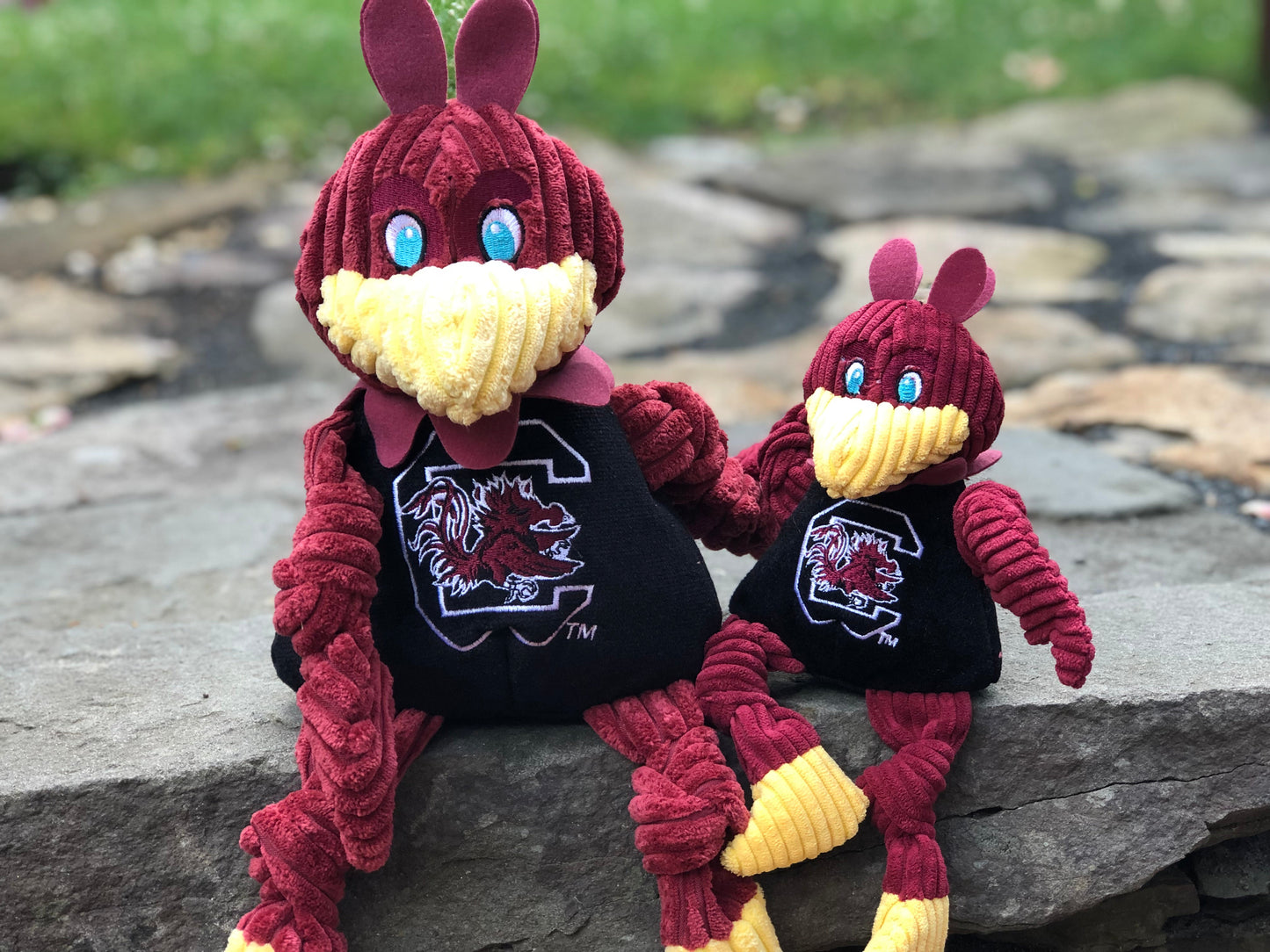 Dog Toy NCAA University of South Carolina Cocky Knottie - size and texture image for dog toy