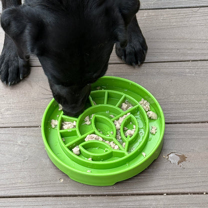 Garden Design eTray - Shallow Slow Feeder Dog Bowl for