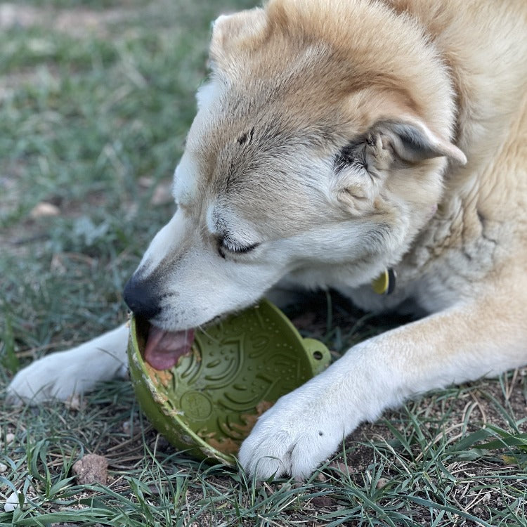 Garden of Eatin' Tipsy Bowl - Wobble Lick Mat for Dogs &