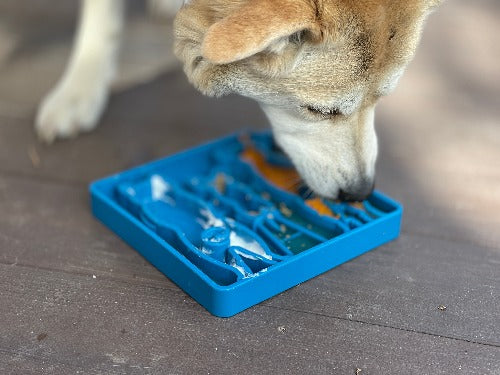 Waiting Dogs eTray - Shallow Slow Feeder Bowl for Enrichment