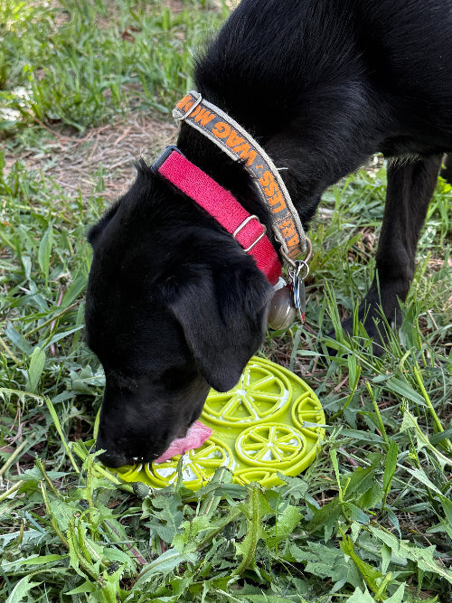Dog Cat Citrus eMat Enrichment Lick Mat