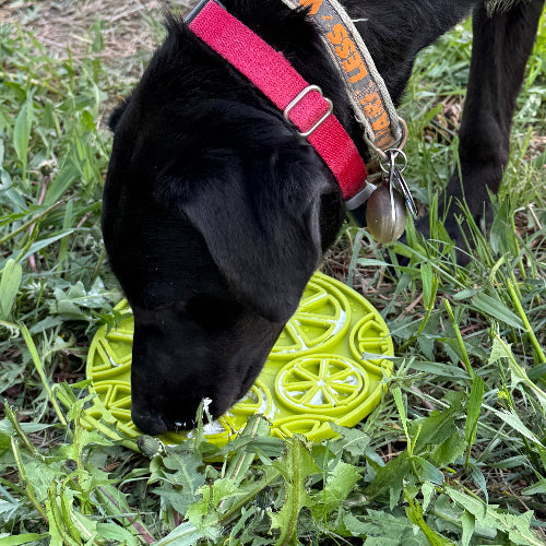 Citrus Design Emat Enrichment Lick Mat For Dogs And Cats USA - gallery image 11