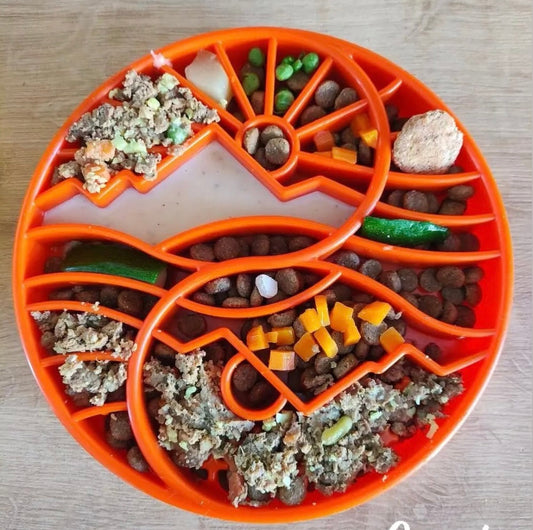 Purrfect Kingdom™ - Sun Moon Etray Shallow Feeder
