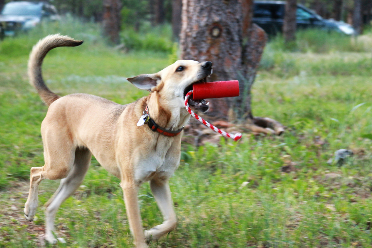 USA-K9 Firecracker Floating Training Dummy | K9 Handler Reward
