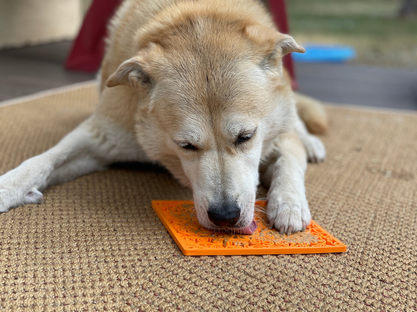 Zombie Emat Enrichment Lick Mat For Dogs And Cats Halloween - gallery image 8