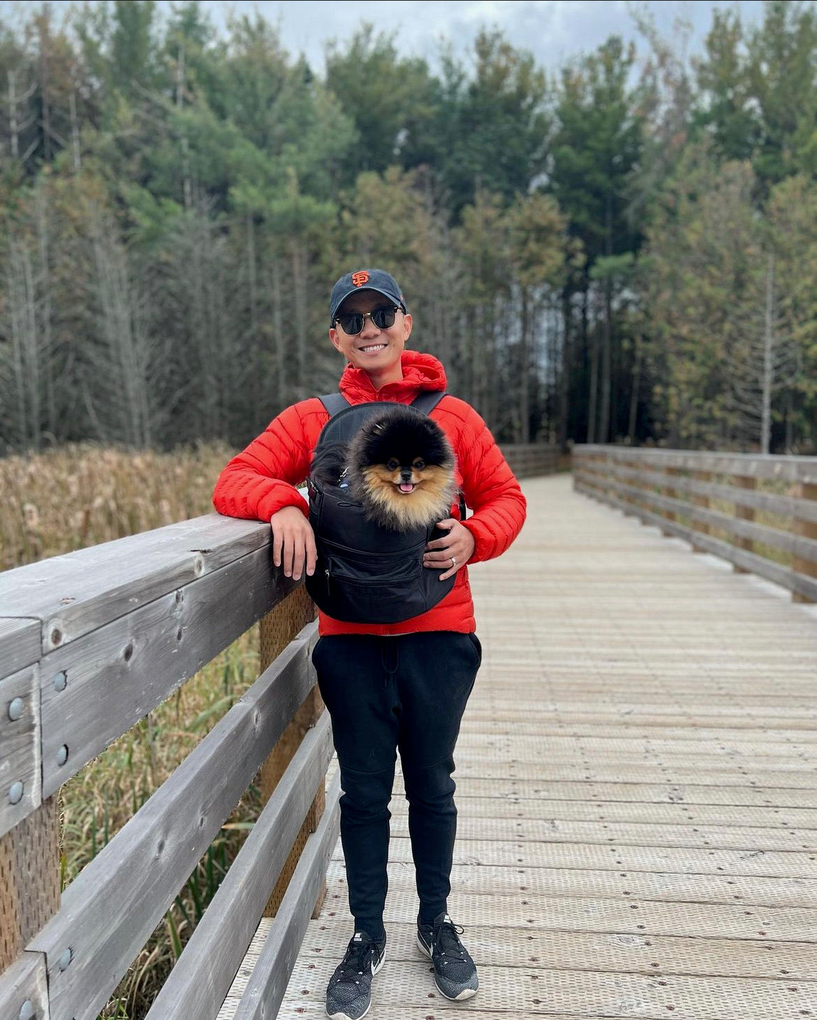 Pet Backpack Premium All-Black Travel Carrier