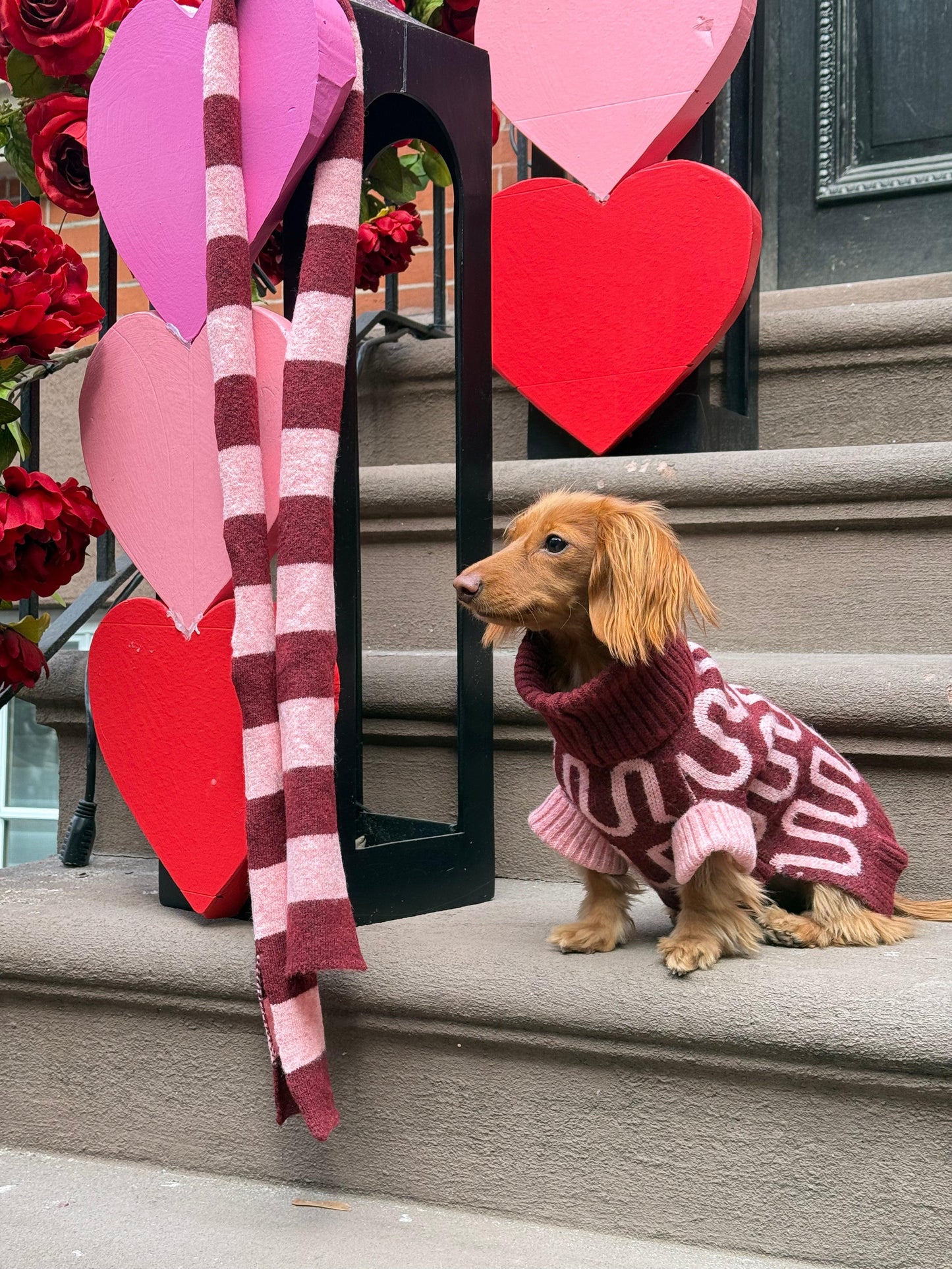 Rosé Bliss Sweater - Dog Sweater - BarkBarkBaby