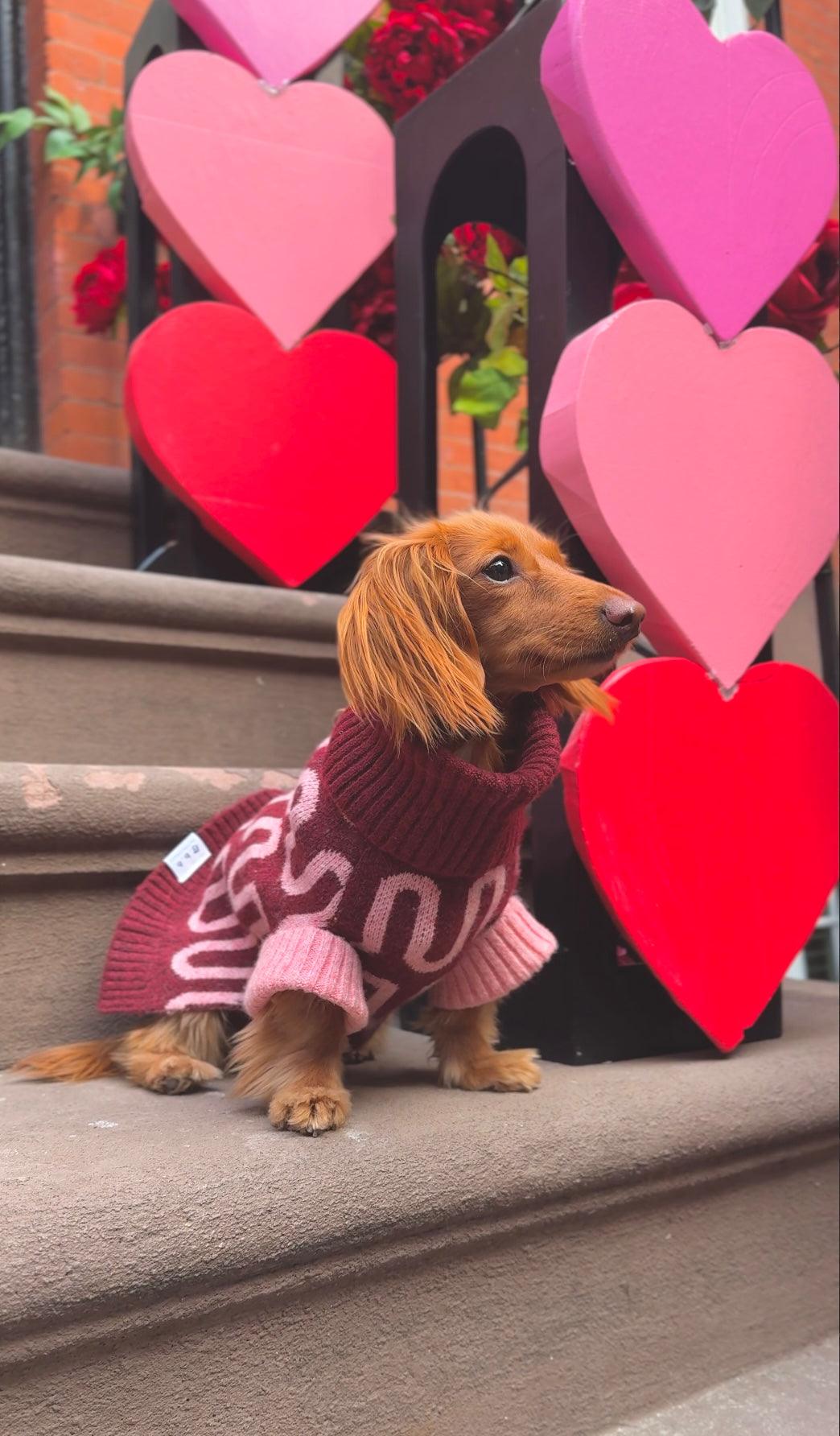 Rosé Bliss Sweater - Dog Sweater - BarkBarkBaby