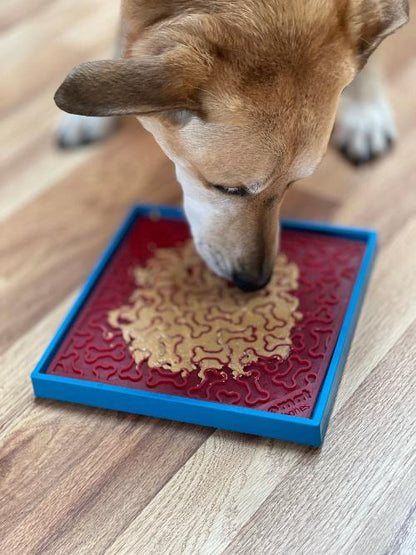 Hold 'em Suction Cup Holder for Dog Bowls & Lick Mats | USA