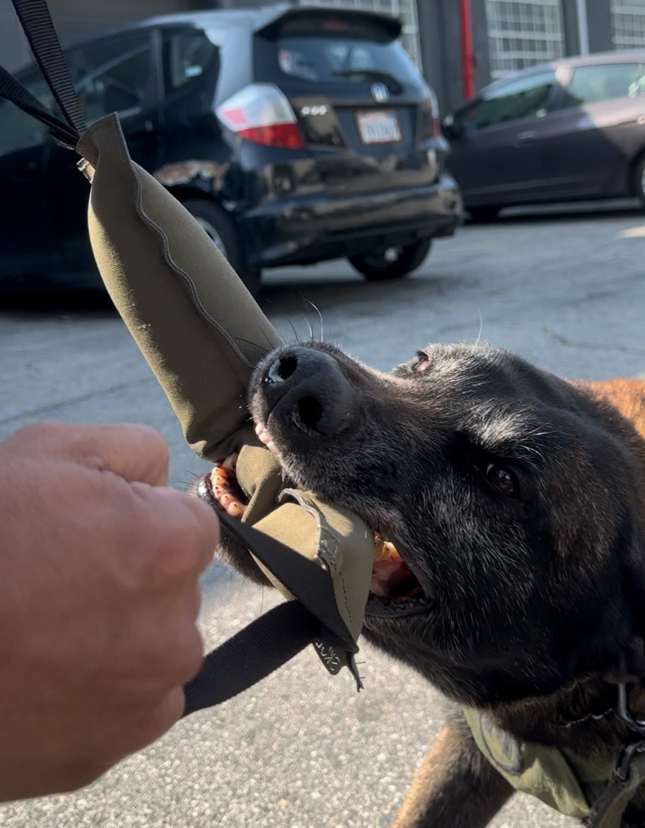 K9R - Kiloniner TUG-N-TRAIN Tug Toy