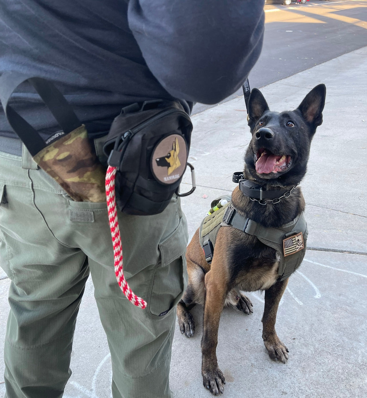 Mini Training Tug Toy