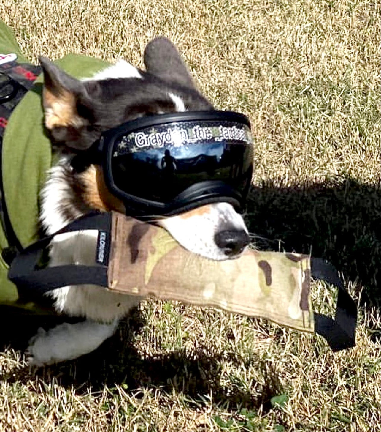 Mini Training Tug Toy