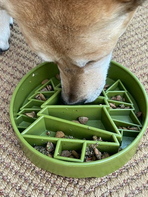 Pine Tree Christmas Ebowl Deep Slow Feeder Dog Bowl For USA - gallery image 9
