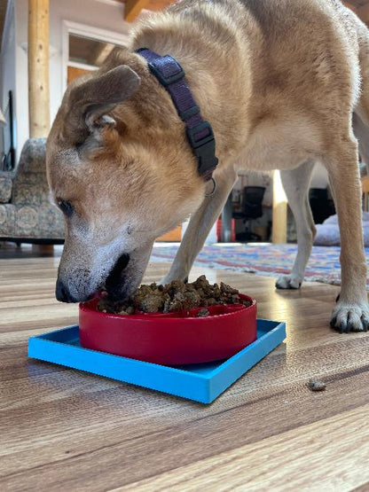 Hold 'em Suction Cup Holder for Dog Bowls & Lick Mats | USA