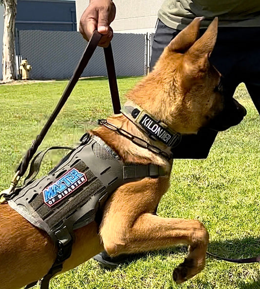 K9R - M4 Tactical MOLLE Vest