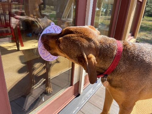 Lotus Design emat - Enrichment Lick Mat For Dogs and Cats - With