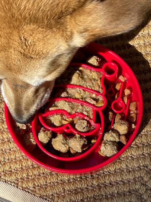 Purrfect Kingdom™ - Santa Ebowl Deep Slow Feeder