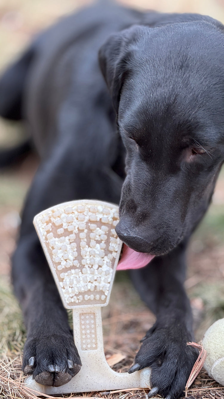 Waffle Tower Nylon Chew & Enrichment Toy | 2-in-1 for Aggressive