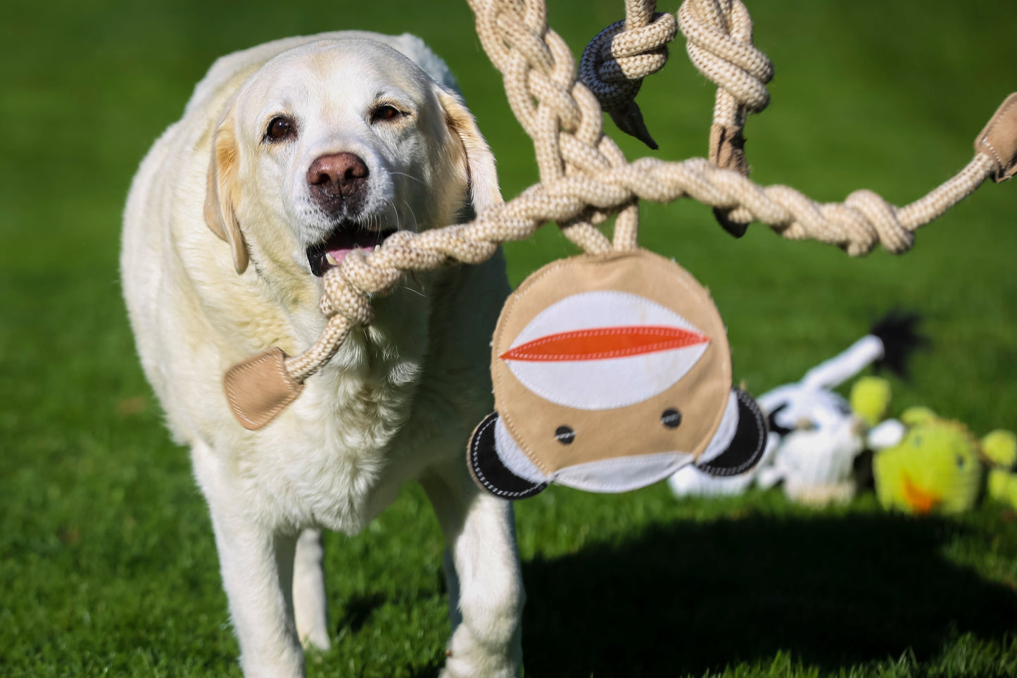 Stuey Sock Monkey Natural Rope Knottie® Dog Toy, Large (9mm